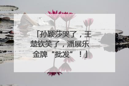 孙颖莎哭了，王楚钦笑了，潘展乐金牌“批发”！